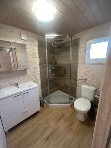 a bathroom with a shower and a toilet and a sink at Domek w Górach Opawskich nad Złotym Potokiem NR7 in Głuchołazy