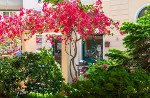 A garden outside Myrto2 apartment