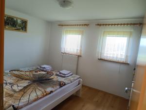 - une chambre avec un lit et 2 fenêtres dans l'établissement Hiška na gorci, à Podčetrtek