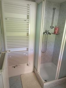 La salle de bains est pourvue d'une douche avec une porte en verre. dans l'établissement Hiška na gorci, à Podčetrtek