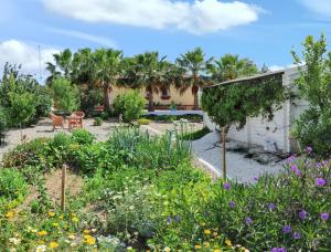 un jardín frente a una casa con flores en 3 bedrooms villa with private pool enclosed garden and wifi at Chiclana de la Frontera 2 km away from the beach en Chiclana de la Frontera
