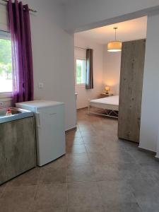 a large room with a kitchen and a bed at Pefki Apartment 9 in Artemísion