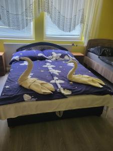 ティサウーイバーロシュにあるNapsugár vendégházのギャラリーの写真