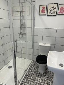 a bathroom with a shower and a toilet and a sink at The Albany Apartments in St Peter Port