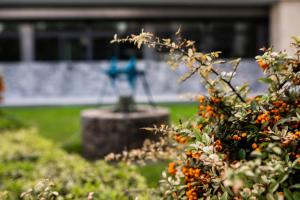 Galeriebild der Unterkunft Hotel Pia Bella in Kyrenia + 55 Fotos