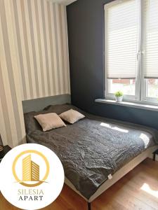 a bed in a room with a window at Apartament Szary in Tychy