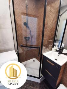 a bathroom with a shower with a toilet and a sink at Apartament Szary in Tychy
