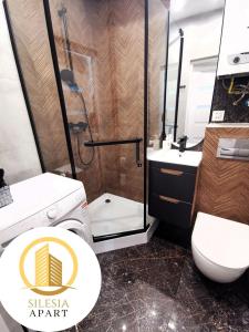 a bathroom with a shower and a toilet and a sink at Apartament Szary in Tychy