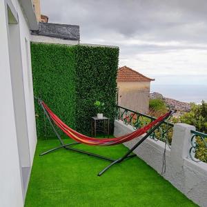 a hammock on a balcony with a green wall at Casa D'Avó Filó in Funchal