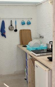 una cucina con bancone, lavandino e utensili di Capitolo a Monopoli