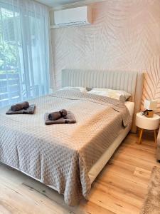 Bella Sole 8230 Balatonfüred, Germering utca 9/B kép - 3