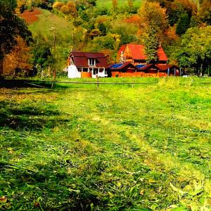 un campo de césped verde con una casa en el fondo en Căsuțele Camping AliMar, en Tîrsa