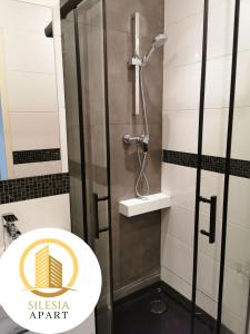 a bathroom with a shower with a toilet and a sink at Apartament Miedziany in Tychy