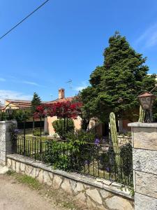 En have udenfor Bougainvillea House