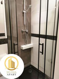 a bathroom with a shower with a toilet and a sink at Apartament Miedziany in Tychy