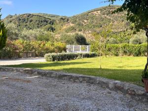 a garden with a hill in the background at Villa Martini in Kissamos