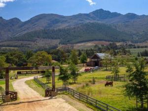 a farm with horses in a field with mountains in the background at Extraordinary Barn Loft at Animal Sanctuary in Franschhoek