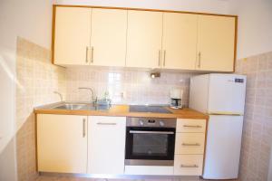 Kuchyň nebo kuchyňský kout v ubytování Apartments Cvito