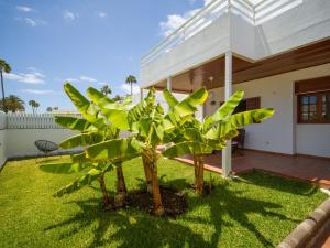 Zahrada ubytování Banana House in Top Location by CanaryScape