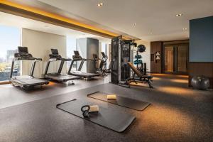 Fitness centrum a/nebo fitness zařízení v ubytování DoubleTree by Hilton Osaka Castle