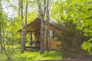 a log cabin in the woods with a tree at Surf Domki Habenda in Sarbsk