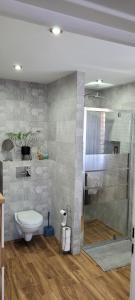 ein Bad mit einem WC und einer Dusche in der Unterkunft Domek Przy Osadzie in Bieliny