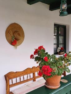 a vase with red flowers on a table with a hat at Căsuța cu Prispă in Sîncraiu