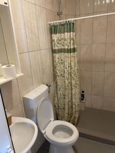 uma casa de banho com um WC e uma cortina de chuveiro em Apartments Plaza em Ulcinj