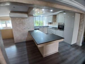 Kuchyň nebo kuchyňský kout v ubytování Loft inn les berges du lac 1