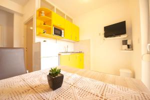 Kuchyň nebo kuchyňský kout v ubytování Apartments Cvito