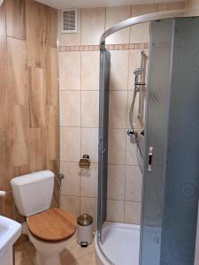 a bathroom with a shower with a toilet and a sink at Szachulcowa Zagroda in Ustka +16 photos