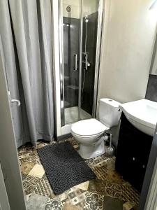 La salle de bains est pourvue d'une douche, de toilettes et d'un lavabo. dans l'établissement Le Paisible * * *, à Aurillac