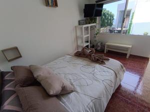 Studio avec terrasse et vue mer客房内的一张或多张床位