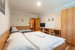 um quarto de hospital com duas camas e uma secretária em Houda Bouda - Penzion & Apartmány em Boží Dar
