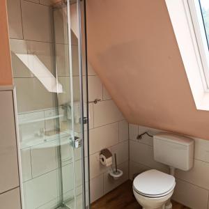 a bathroom with a toilet and a shower at Hotel Ari in Kaiserslautern