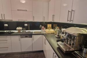 Η κουζίνα ή μικρή κουζίνα στο Apartman Nataša BL 2 +3 φωτογραφίες