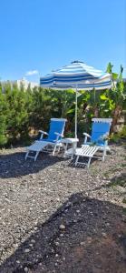 Fotografie z fotogalerie ubytování Couples Getaway Bus v destinaci Klorakas