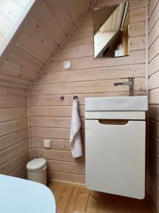 un baño con lavabo y espejo en Osada Aurora Całoroczne domki z jacuzzi z widokiem na jezioro i góry, en Miszkowice