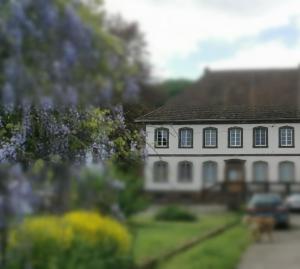 een groot wit huis met een tuin met bomen bij Ferienwohnungen Stuppacher Hof in Hornbach