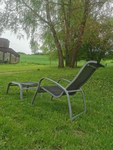 twee stoelen in het gras in een veld bij Ferienwohnungen Stuppacher Hof in Hornbach