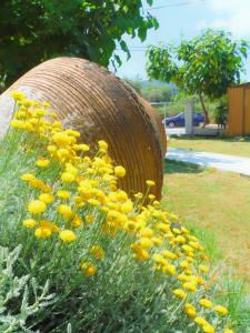 Un mazzo di fiori gialli che crescono vicino a un cesto di Port Rooms a Limenas