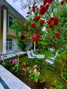 Κήπος έξω από το Singay Homestay