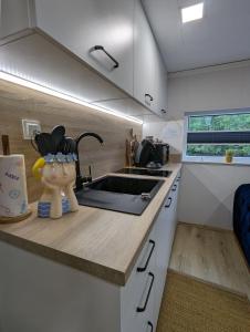 Kuchyň nebo kuchyňský kout v ubytování Hausboot Lena