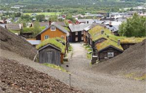 un pueblo con casas con techos de hierba en 3 Bedroom Gorgeous Apartment In Rros en Røros
