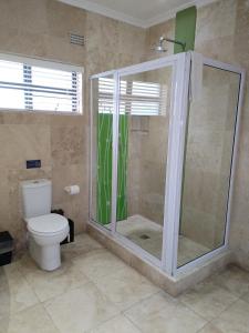 a bathroom with a shower and a toilet at MyPond Stenden Hotel in Port Alfred