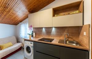 cocina con fregadero y lavadora en Nice Apartment In Medulin With Kitchen, en Medulin