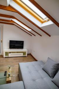 TV a/nebo společenská místnost v ubytování Luxury attic