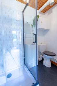 W łazience znajduje się przeszklony prysznic i toaleta. w obiekcie La Rosée - Studio Campagne à 50m des Thermes - Vue jardin, Wifi, Netflix, Smart TV w mieście Bourbonne-les-Bains