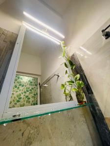 een badkamer met een spiegel en een plant bij Kosi Giggles Resort in Weligama