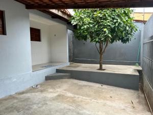 uma árvore no canto de uma sala com um edifício em SEU LAR em Campina Grande